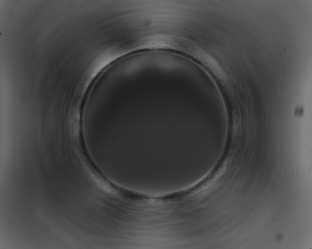 X0000102481226200808081257