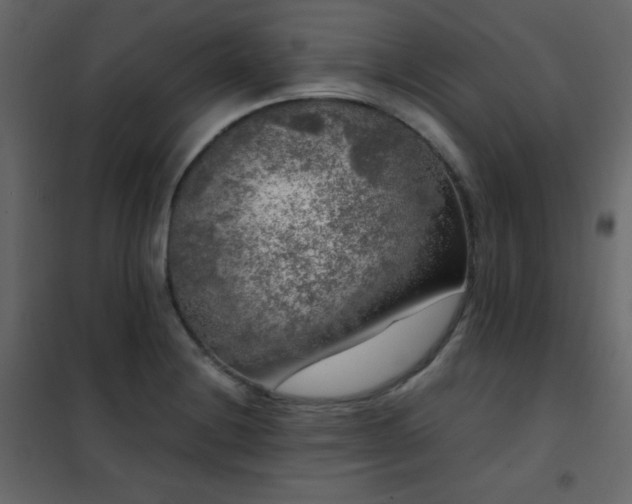 X0000102481228200808081257