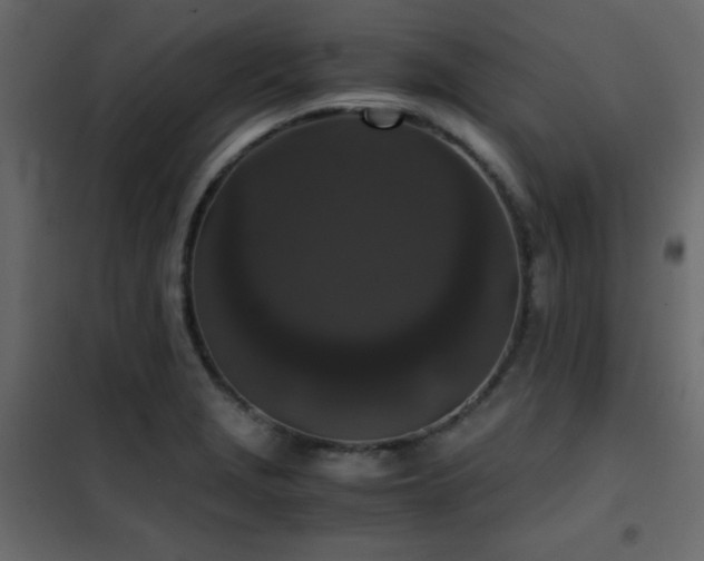 X0000102481229200808081257