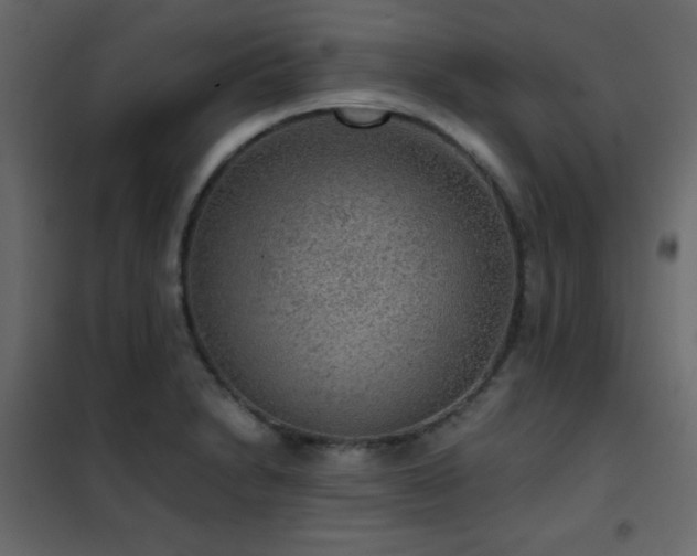 X0000102481230200808081257