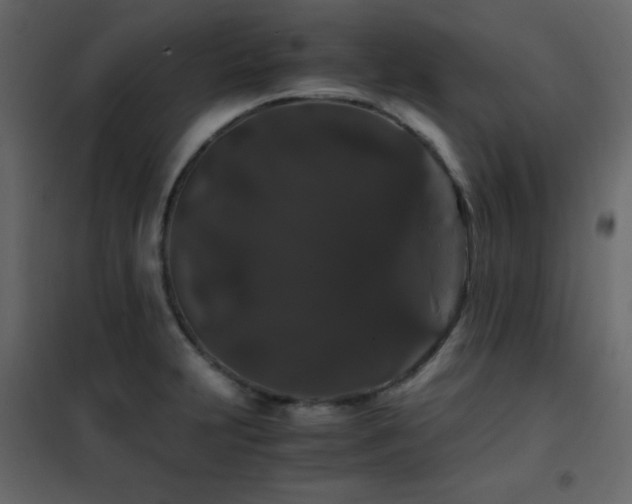 X0000102481231200808081257