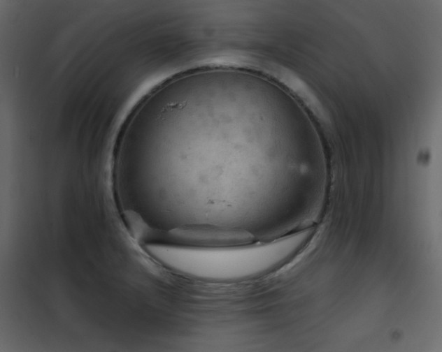 X0000102481232200808081257