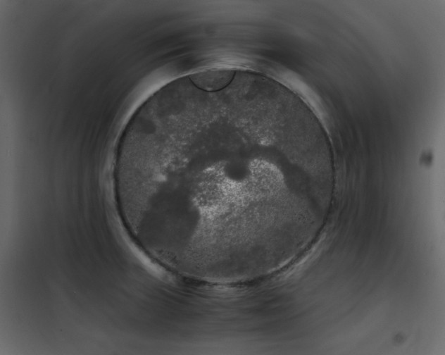 X0000102481235200808081257