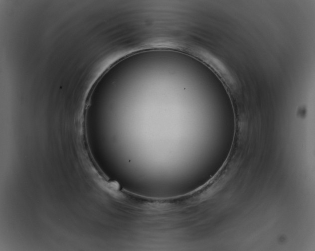 X0000102481236200808081257