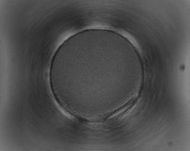 X0000102481237200808081257