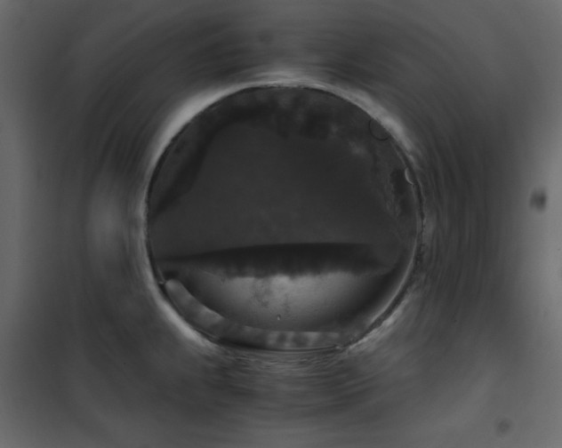 X0000102481239200808081257