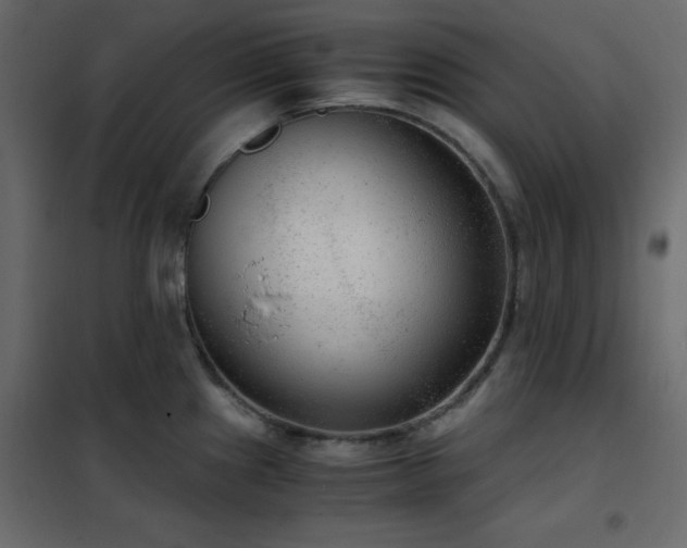 X0000102481241200808081258