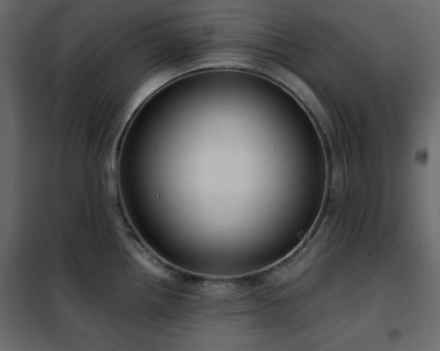 X0000102481242200808081258