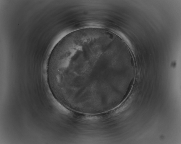 X0000102481243200808081258