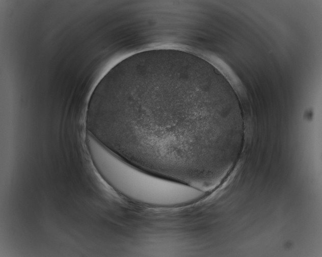 X0000102481244200808081258