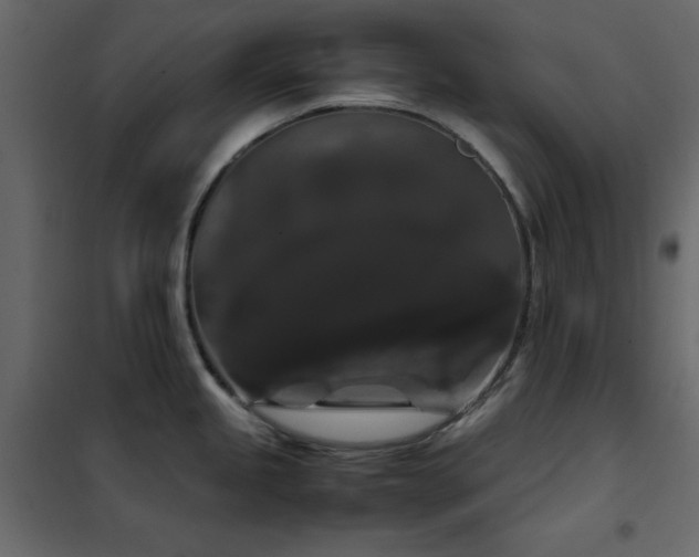 X0000102481245200808081258