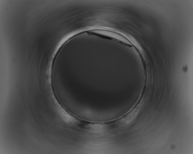 X0000102481246200808081258