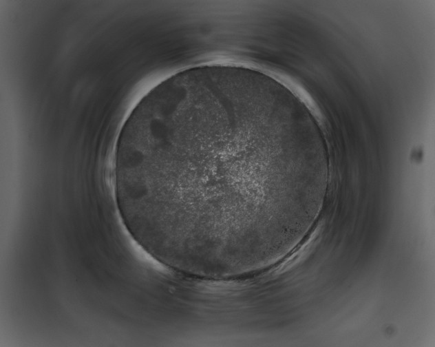 X0000102481247200808081258