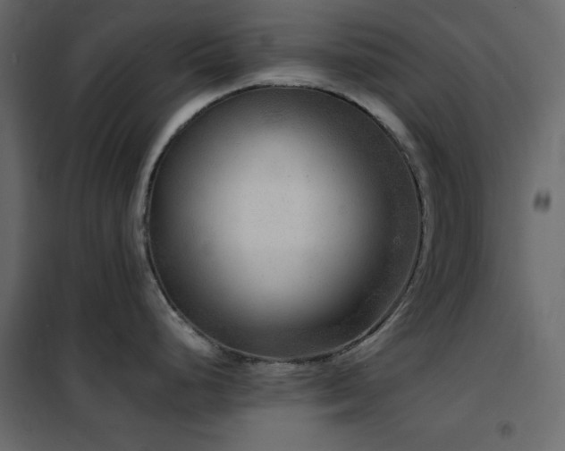 X0000102481248200808081258