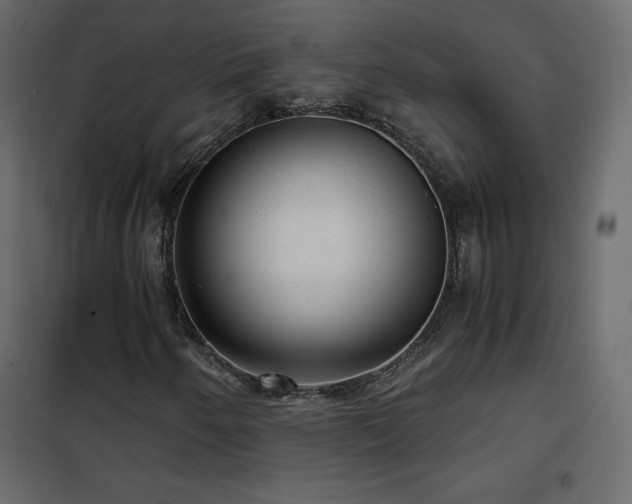 X0000102481250200808081257