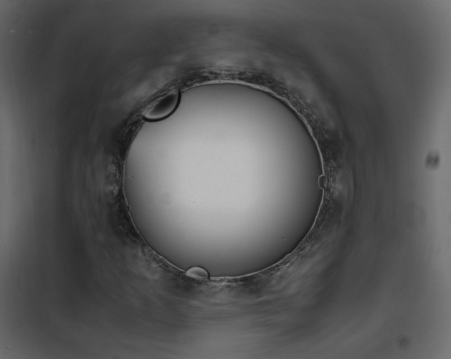 X0000102481253200808081257