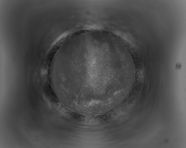 X0000102481254200808081257