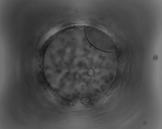 X0000102481255200808081257