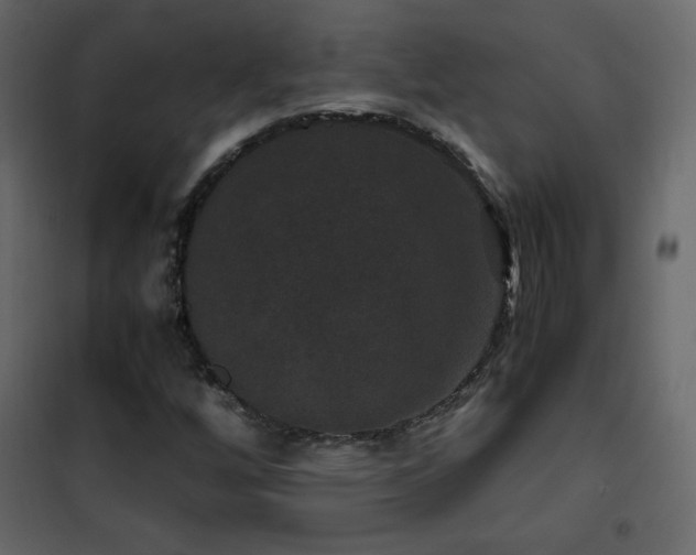 X0000102481256200808081257
