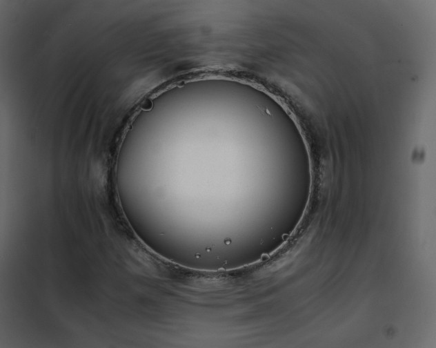 X0000102481257200808081257