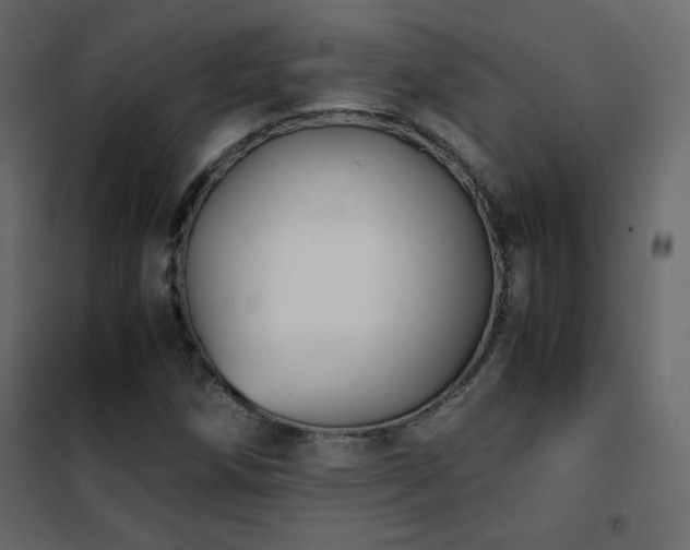 X0000102481258200808081257