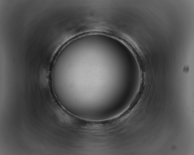 X0000102481260200808081257