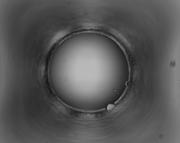 X0000102481261200808081257