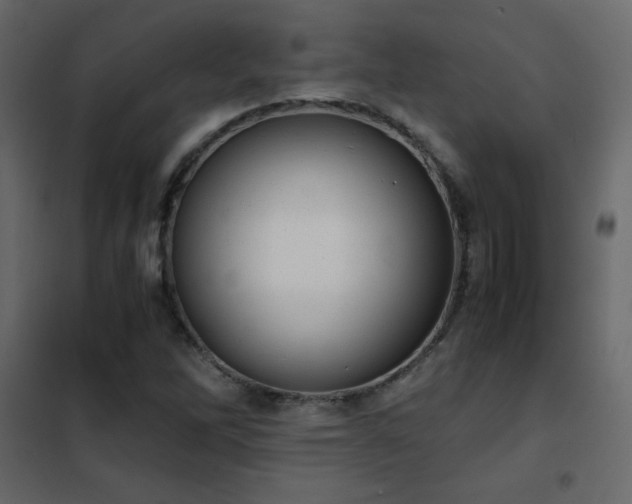 X0000102481262200808081257