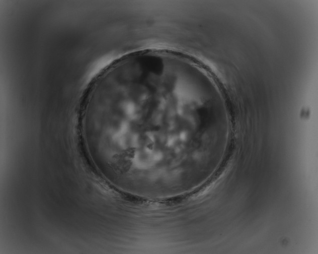 X0000102481263200808081257