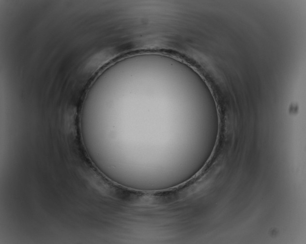 X0000102481265200808081257