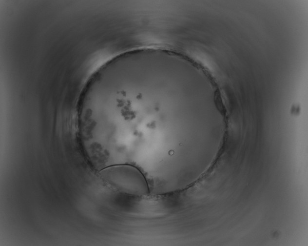X0000102481267200808081257