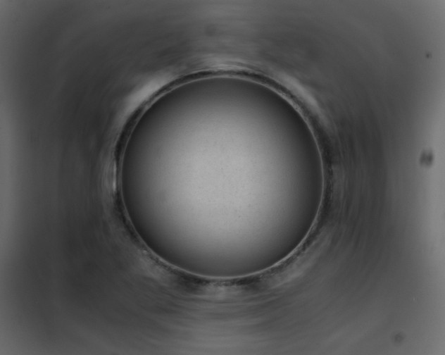 X0000102481269200808081257