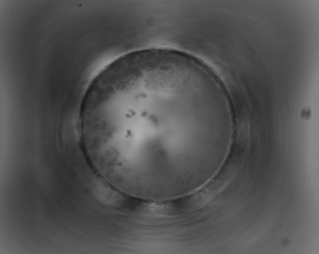 X0000102481271200808081257