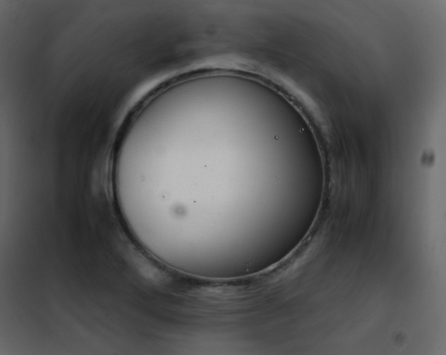 X0000102481272200808081257