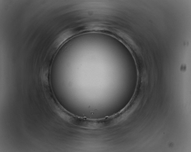 X0000102481273200808081257