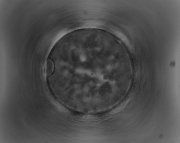 X0000102481275200808081257