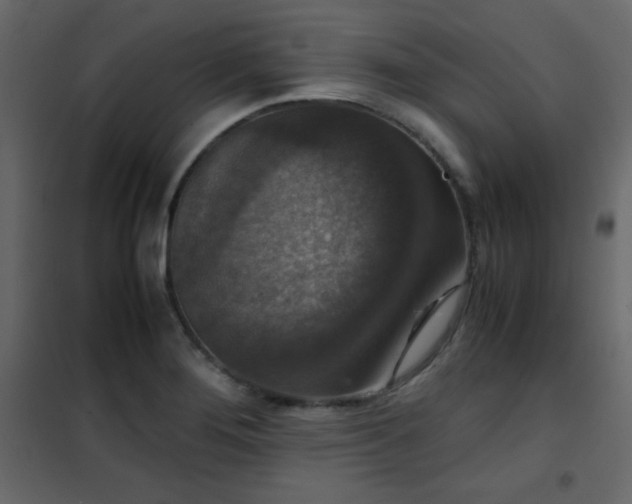 X0000102481276200808081257