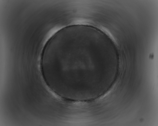 X0000102481277200808081257