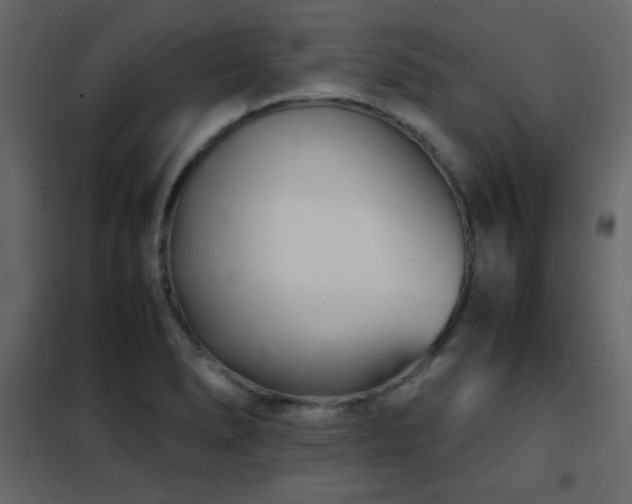 X0000102481278200808081257