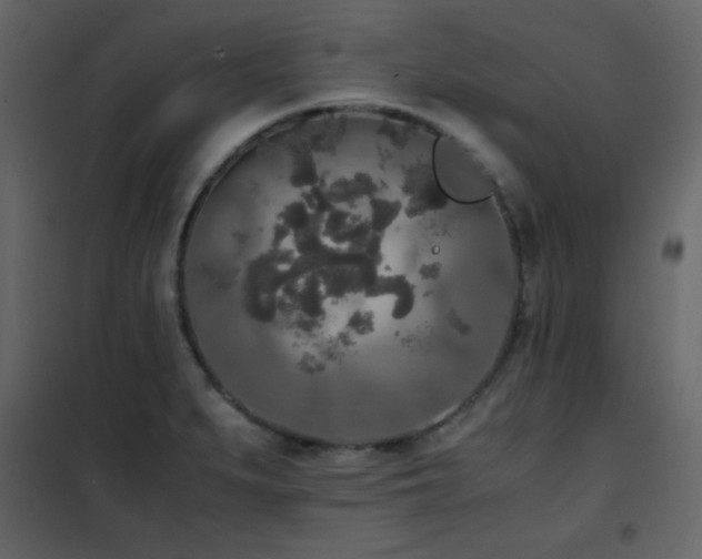 X0000102481279200808081257