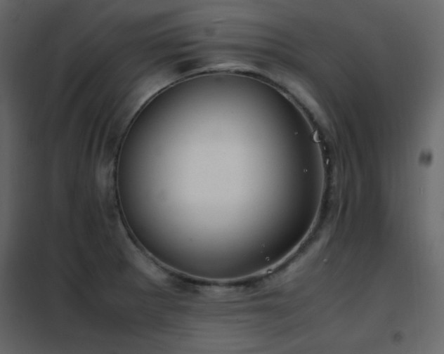 X0000102481281200808081257