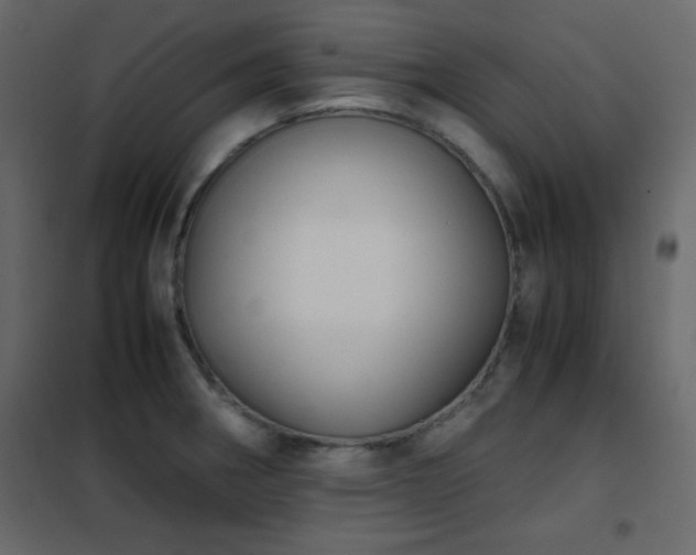 X0000102481282200808081256