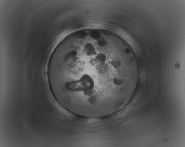 X0000102481283200808081256