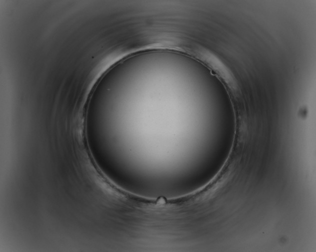 X0000102481284200808081256