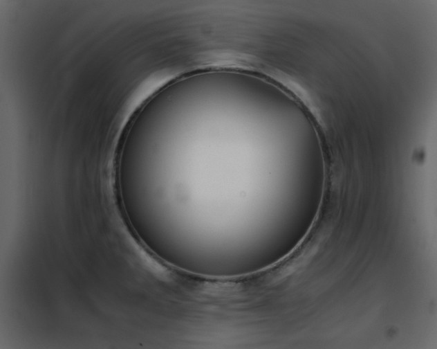 X0000102481285200808081256