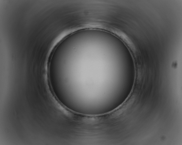 X0000102481286200808081256
