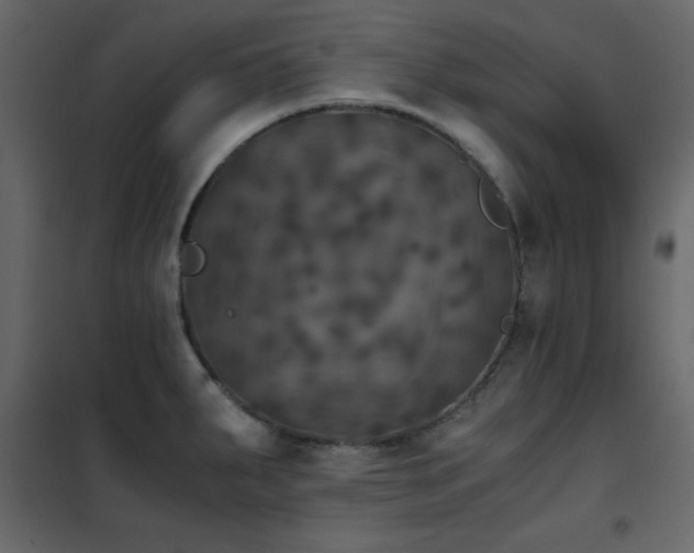 X0000102481287200808081256