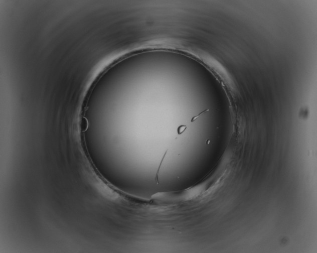 X0000102481288200808081256
