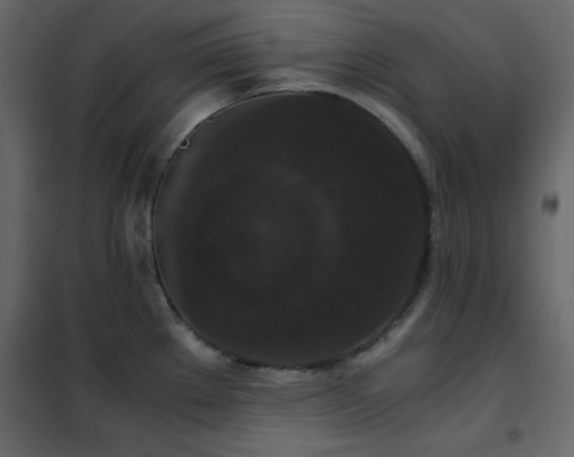 X0000102481289200808081256