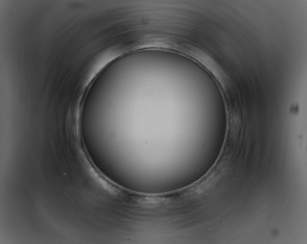 X0000102481290200808081256
